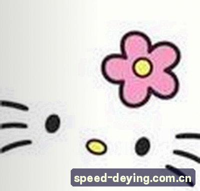 赵宇